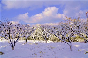 雪后呈现天地合一佳景