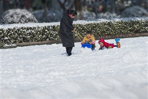 雪地乐