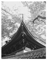 古寺之角