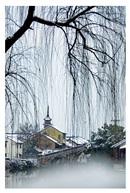  《雪韵》12