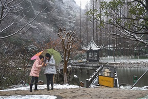 亭林观雪