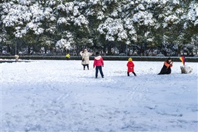 雪地情