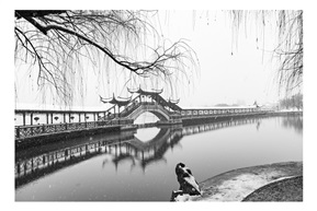 雪中锦溪
