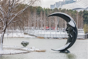 江南雪东北景