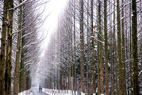 雪后漫步