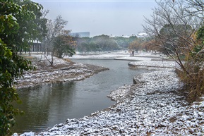 亭林小景