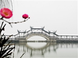 雪中锦溪