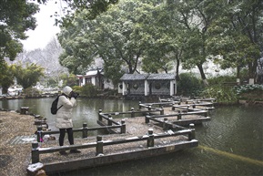 亭林惊影