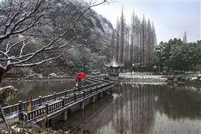 亭林赏雪