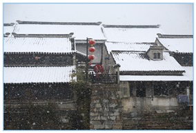 雪花纷飞孤自赏