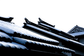 黑与白