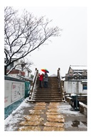 雪中锦溪