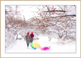 雪舞的季节笑看梅花