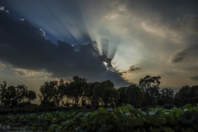 雷雨云1