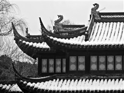 残雪-8