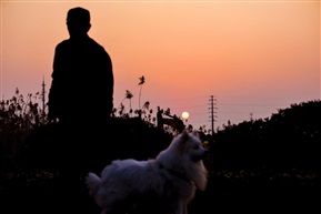 夕阳下