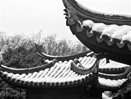 残雪-9