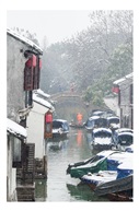 雪舞周庄