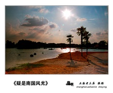 《疑是南国风光》