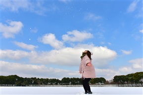 云想衣裳花想容