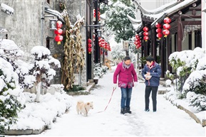 瑞雪迎丰年