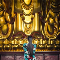《随缘》