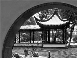 残雪-16