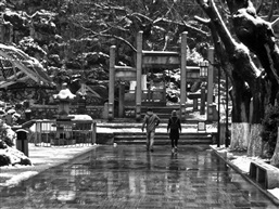 残雪-17