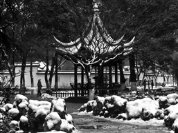残雪-18