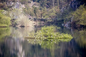 山里的风景