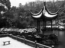 残雪-19