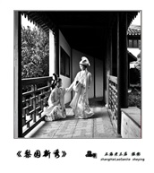 《梨园新秀》