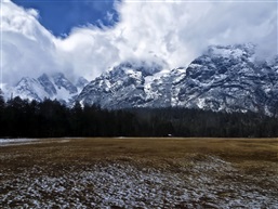 玉龙雪山云杉坪