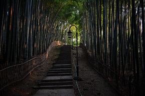 夕阳时分