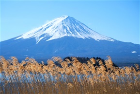 远眺富士山