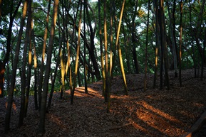 夕阳时分