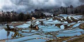 云南三月行之卅二《元阳黃草岭云海梯田》