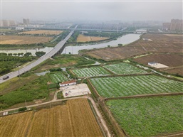 麦收时节