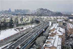 《亭林大桥雪韵》