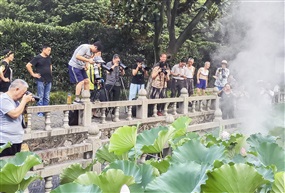 拍荷季 2