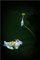 一丝牵挂