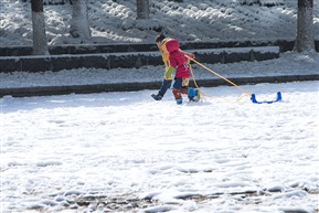 《忆雪》