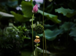 边走边拍11