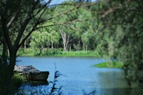 森林公园小景