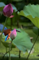 边走边拍12