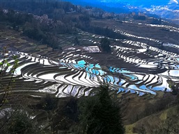 边走边拍13