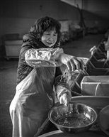 《活虾》