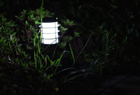 惬意