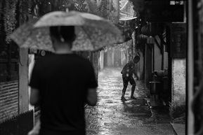 锦溪2018年7月6日·雨