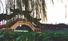 一抹
